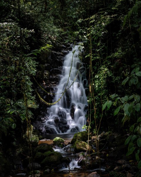 Waterfall in Juan Castro Blanco National Park