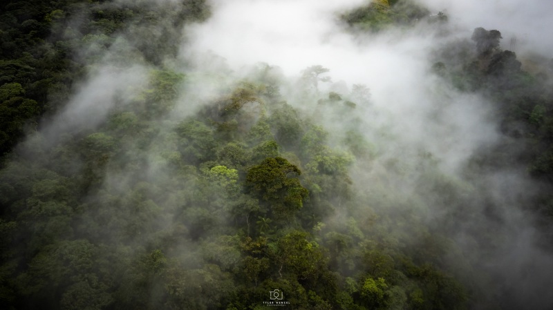 Cloud Forest, San Ramón, Costa Rica