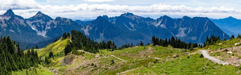 Paradise Valley, Mt. Rainier National Park