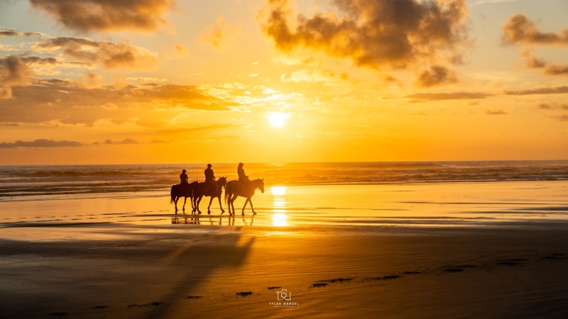 Horses at Sunset, Playa Bejuco, Costa Rica