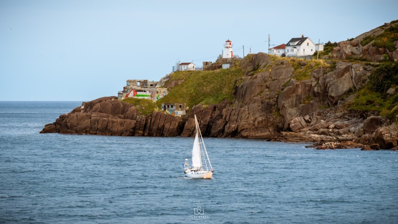 Sailboat through The Narrows, St. Johns, Newfoundland